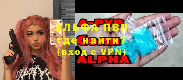 прущие грибы Новодвинск
