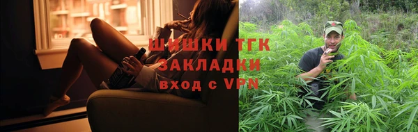 соль ск Новозыбков