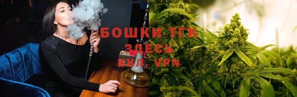 соль ск Новозыбков