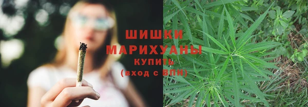 соль ск Новозыбков