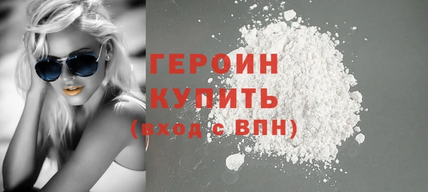 прущие грибы Новодвинск
