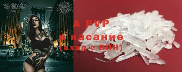 apvp Горняк