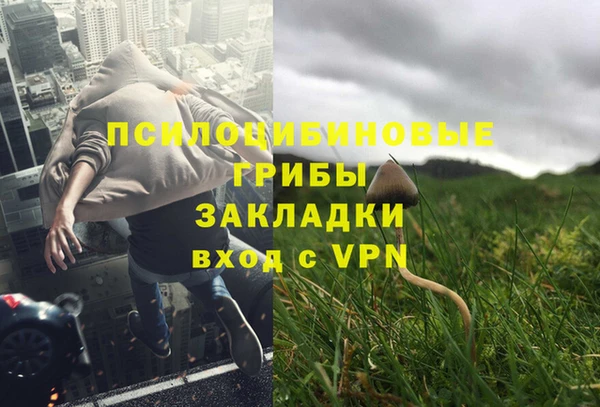 соль ск Новозыбков