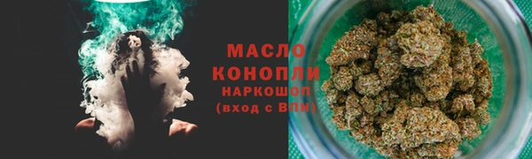 соль ск Новозыбков