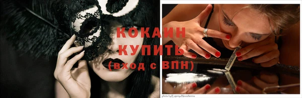 соль ск Новозыбков