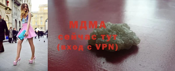 прущие грибы Новодвинск