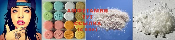 прущие грибы Новодвинск