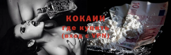 прущие грибы Новодвинск