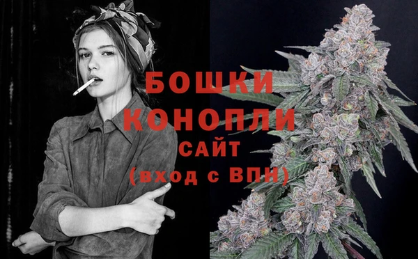 прущие грибы Новодвинск