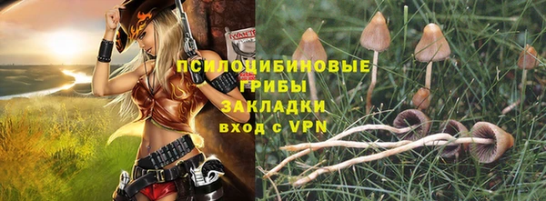 соль ск Новозыбков