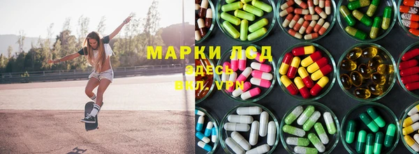 прущие грибы Новодвинск