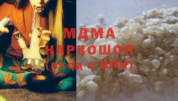 прущие грибы Новодвинск