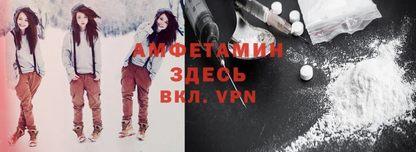 соль ск Новозыбков