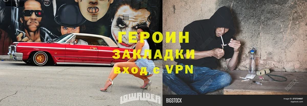 прущие грибы Новодвинск