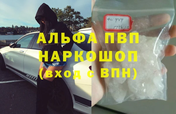 прущие грибы Новодвинск