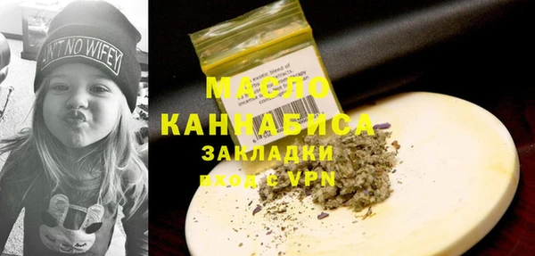 соль ск Новозыбков