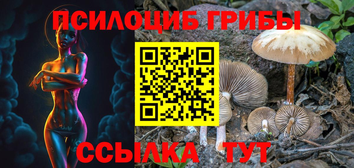 Псилоцибиновые грибы Magic Shrooms  Кировск  Галлюциногенные грибы ЛСД 