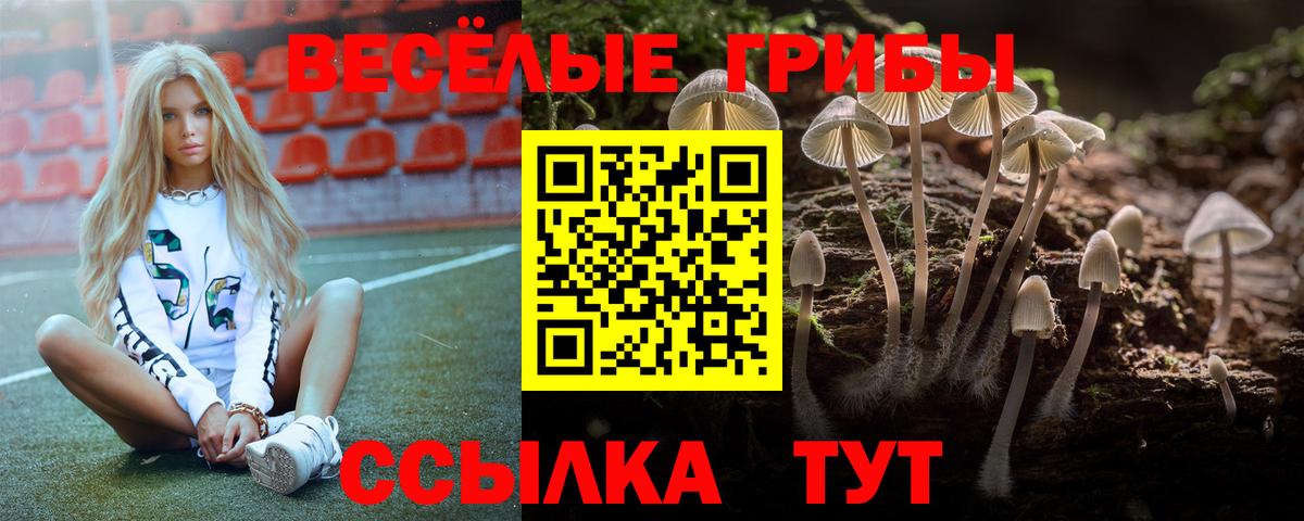 Гашик  Cocaine  ЛЁД  Меф  Мяу-Мяу  Вход с VPN  МАРИХУАНА  Кировск  MDMA 